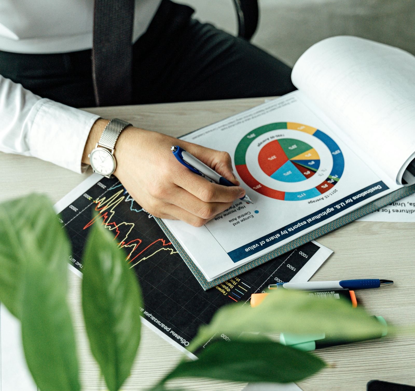 Servicios de Impuestos para LLC
